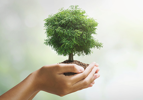 Keeping our premises green, hence promoting environmental safety.